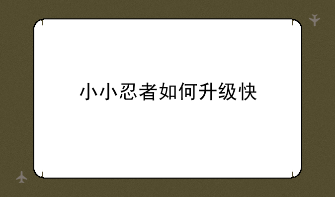 小小忍者如何升级快