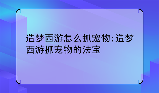 造梦西游怎么抓宠物;造梦西游抓宠物的法宝
