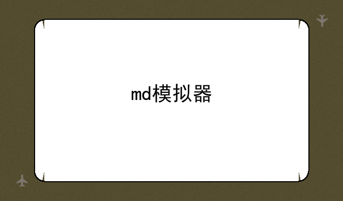 md模拟器
